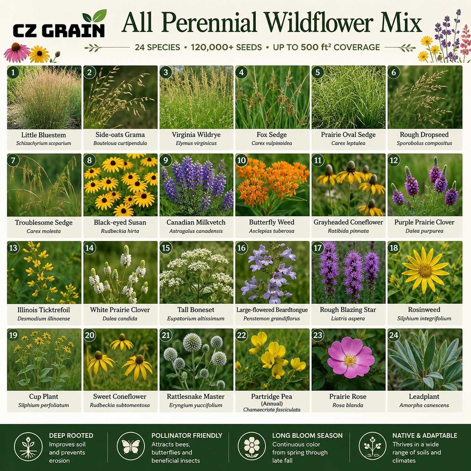 Pocket Meadow Wildflower Seeds Mix | 4 oz Bulk Meadow Flower Seed Blend | Pollinator Friendly | Covers Large Areas | Annual & Perennial Mix | Easy to Grow | 4 oz Bulk Seeds - Image 4