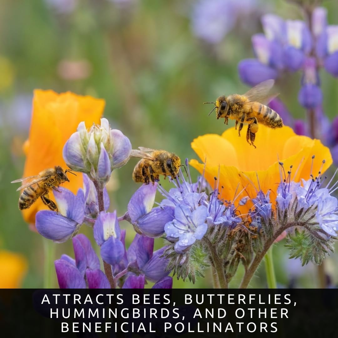 Pocket Meadow Wildflower Seeds Mix | 4 oz Bulk Meadow Flower Seed Blend | Pollinator Friendly | Covers Large Areas | Annual & Perennial Mix | Easy to Grow | 4 oz Bulk Seeds - Image 5