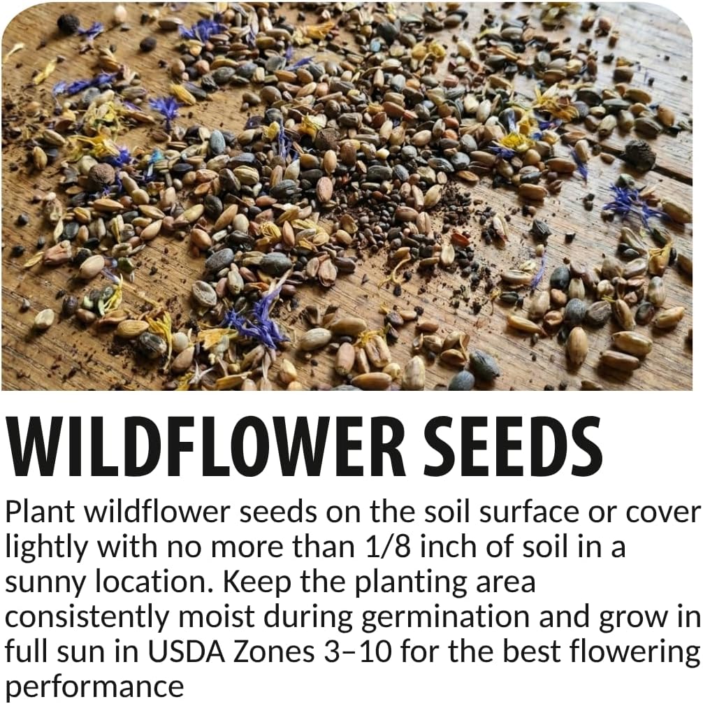 Pocket Meadow Wildflower Seeds Mix | 4 oz Bulk Meadow Flower Seed Blend | Pollinator Friendly | Covers Large Areas | Annual & Perennial Mix | Easy to Grow | 4 oz Bulk Seeds - Image 7