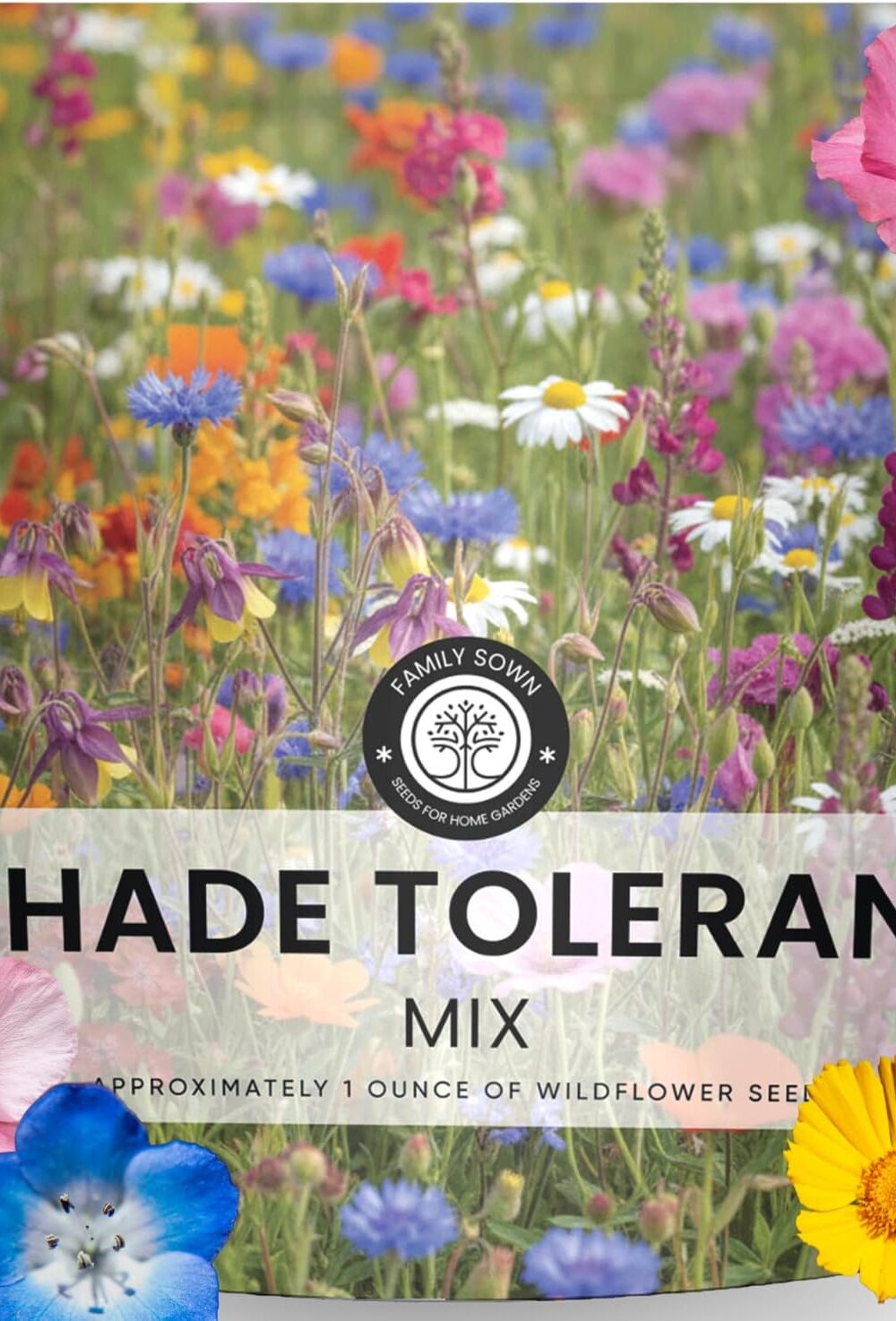 Shade Tolerant Mix – 14,000 Wildflower Seeds for Pollinator Gardens – 2026 Season – 1 Ounce Pouch