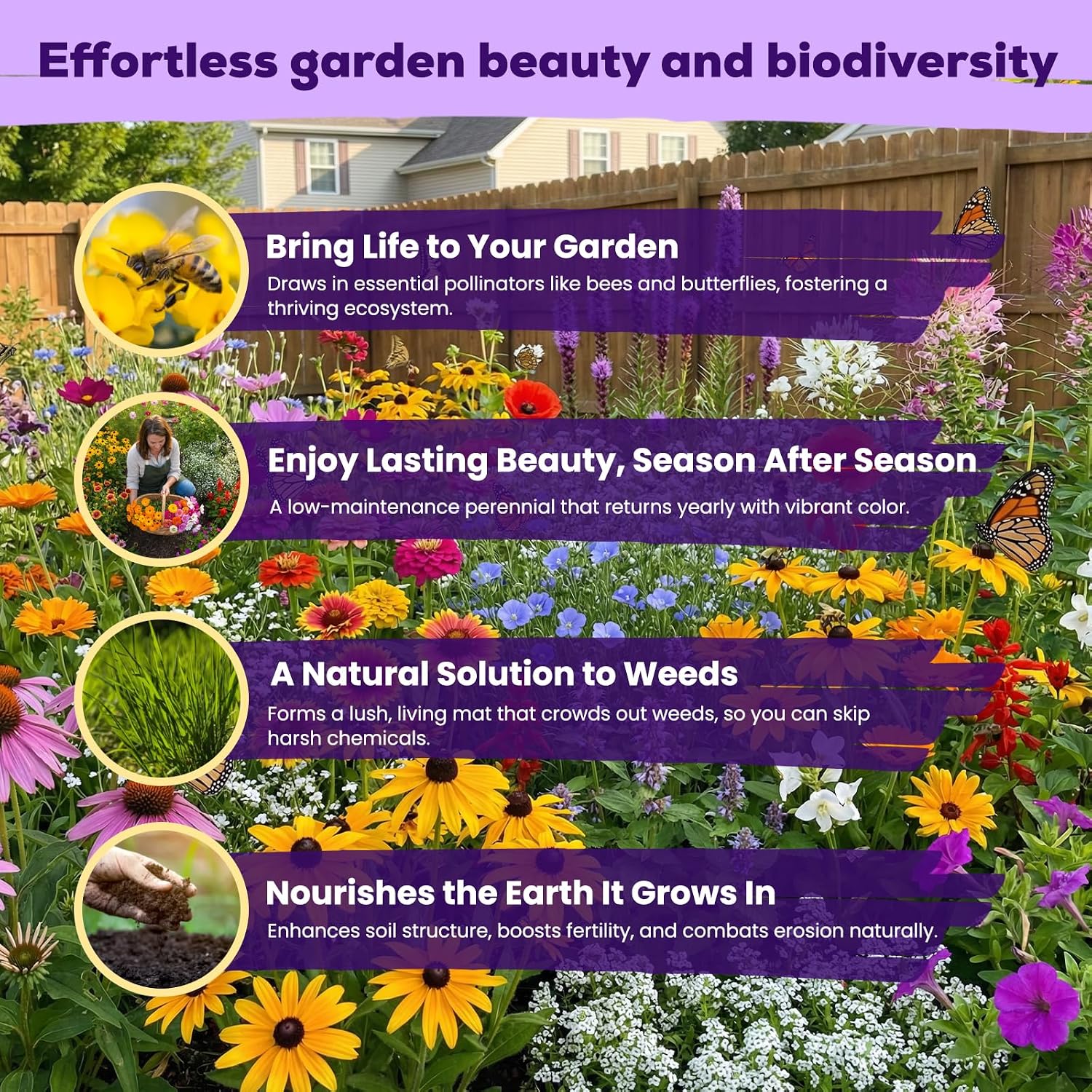 200,000+ Wildflower Seeds Bulk (4oz) – 16 Varieties Perennial & Annual Mix, Attract Bees, Butterflies & Hummingbirds, High Germination for Outdoor Pollinator Garden, Unique Gift for Mother, Women, Mom - Image 3
