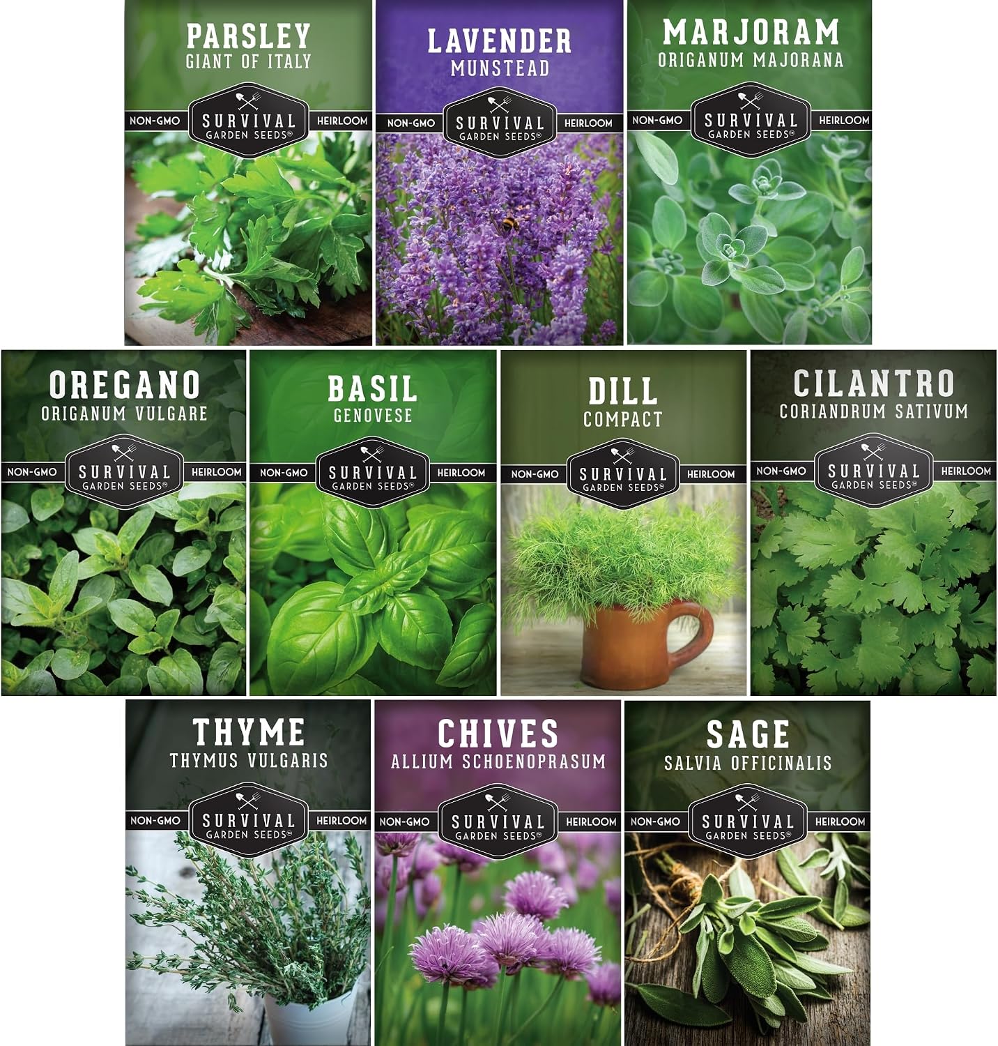 10 Culinary Herb Seed Packs for Planting – Survival Garden Seeds | Basil, Cilantro, Lavender, Dill, Parsley, Oregano, Thyme, Sage, Chives, Marjoram – Indoor Kitchen Herb Kit