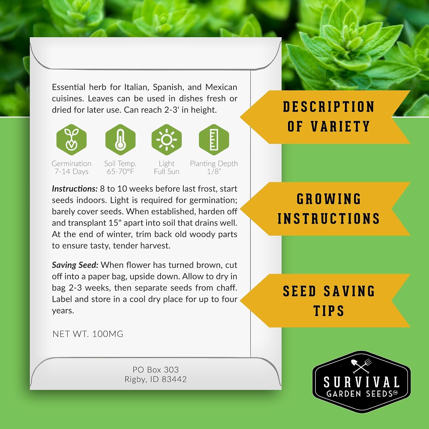 10 Culinary Herb Seed Packs for Planting – Survival Garden Seeds | Basil, Cilantro, Lavender, Dill, Parsley, Oregano, Thyme, Sage, Chives, Marjoram – Indoor Kitchen Herb Kit - Image 2