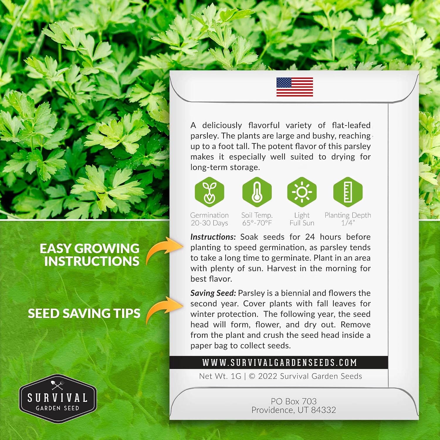 Giant of Italy Parsley Seeds for Planting - 1 Pack | Italian Flat Leaf Heirloom Herb with Large Flavorful Leaves, Non-GMO, Great for Cooking & Drying - Survival Garden Seeds - Image 2
