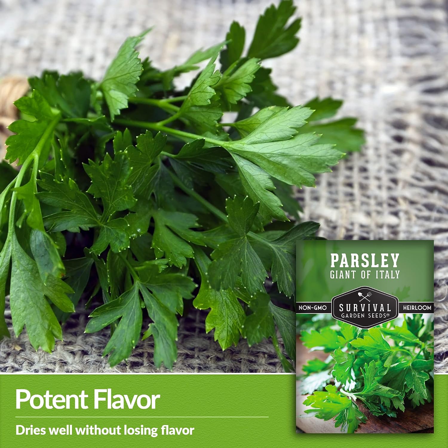 Giant of Italy Parsley Seeds for Planting - 1 Pack | Italian Flat Leaf Heirloom Herb with Large Flavorful Leaves, Non-GMO, Great for Cooking & Drying - Survival Garden Seeds - Image 4