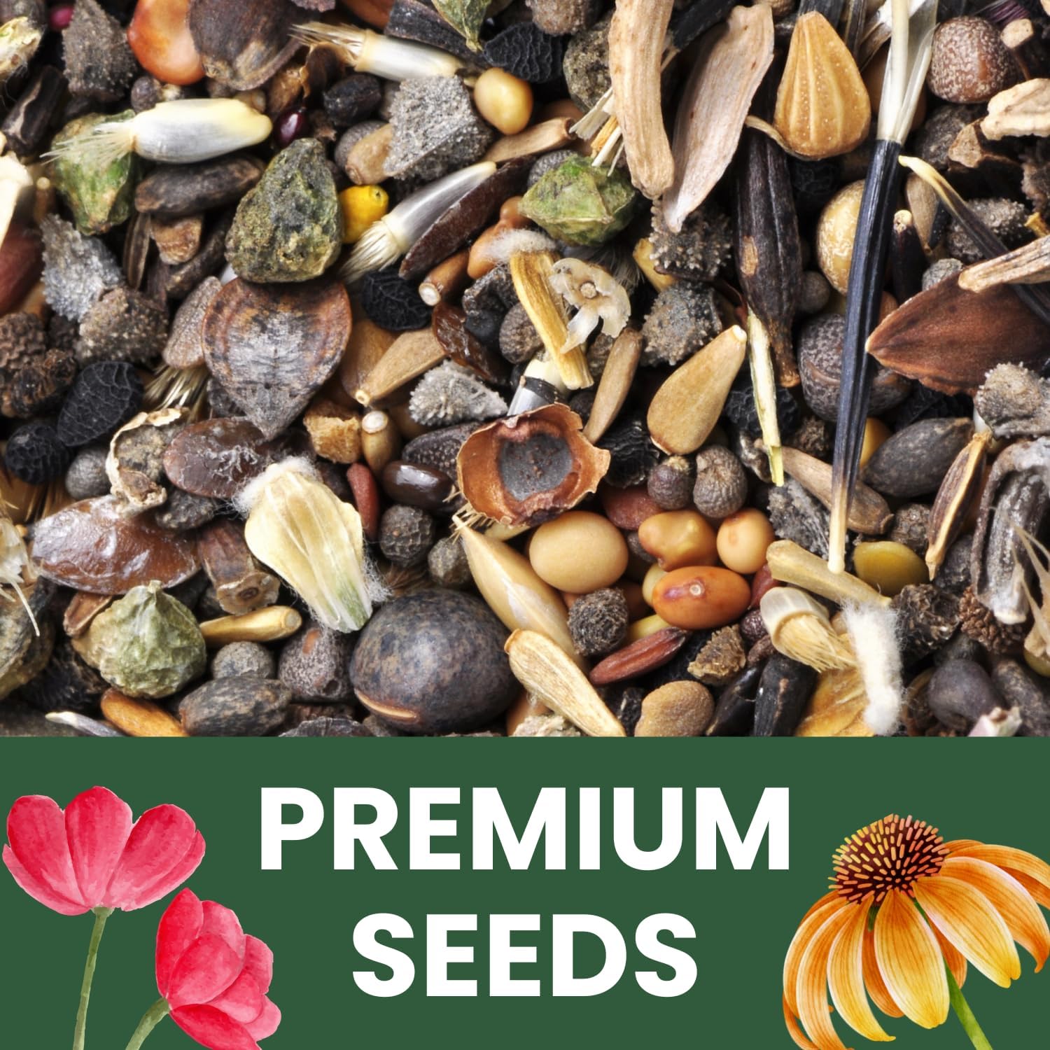 Crazy Cosmos Mix - Large 1 Ounce Packet - 5,000 Flower Seeds for Planting - Cosmos bipinnatus - Image 5