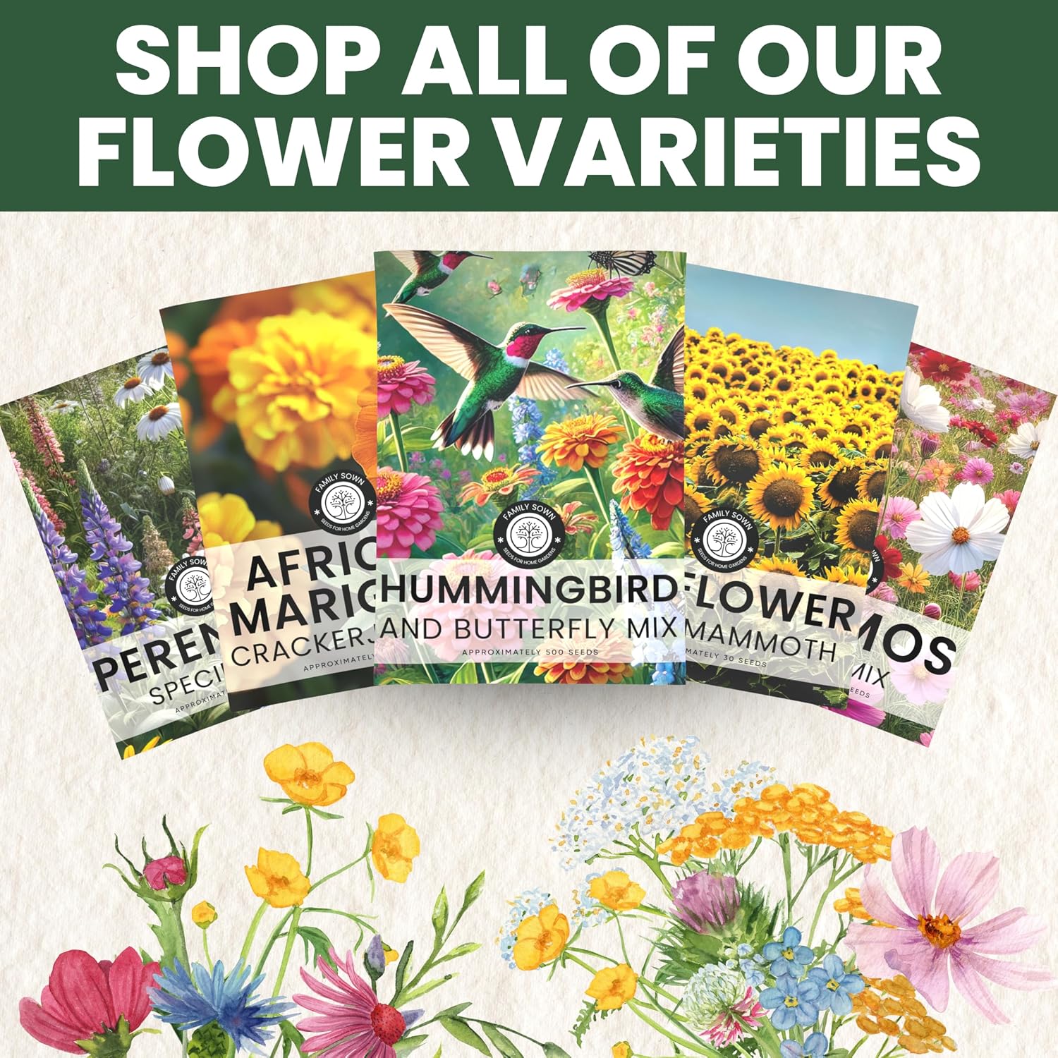 Crazy Cosmos Mix - Large 1 Ounce Packet - 5,000 Flower Seeds for Planting - Cosmos bipinnatus - Image 7