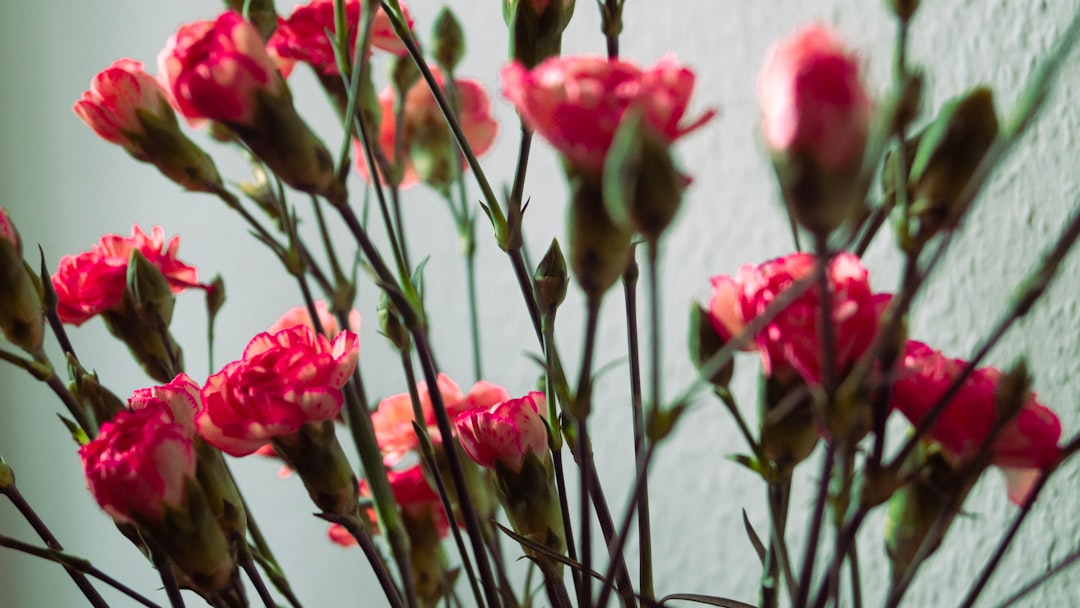 Creative Ways to Use Flower Seeds in Home Decor Projects