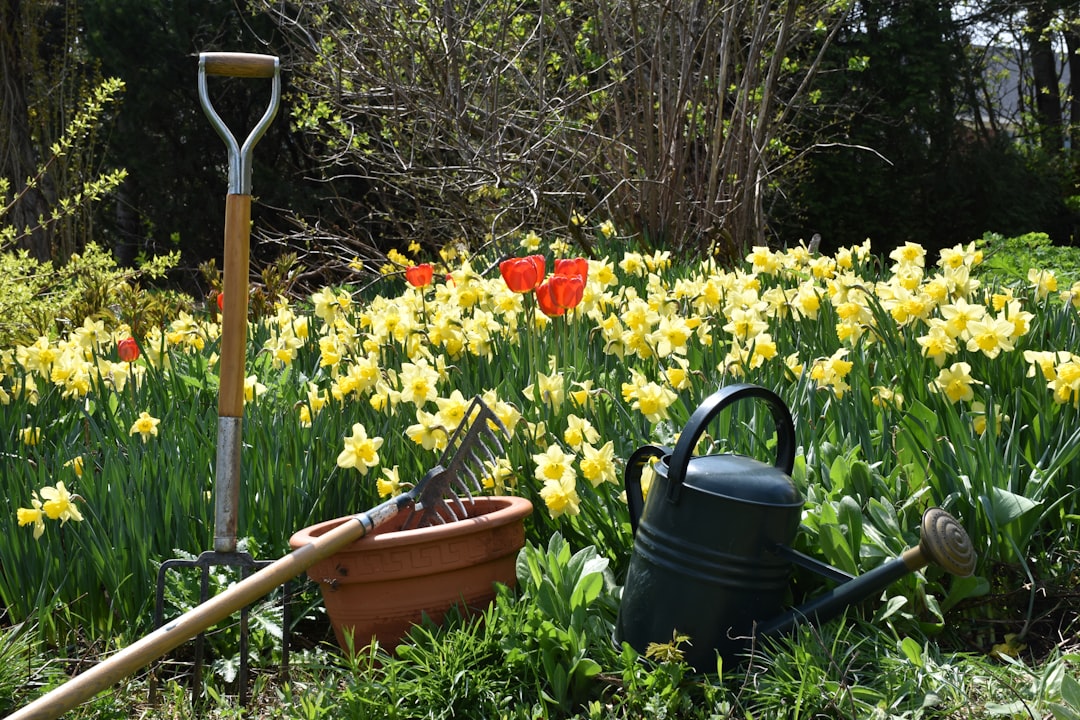 Essential Tools You Need for Planting Flower Seeds Successfully