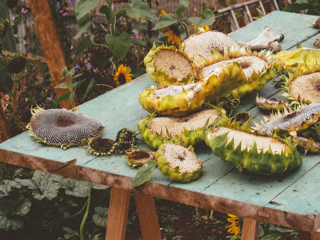 How BloomSphere Makes Buying Flower Seeds Easy and Fun